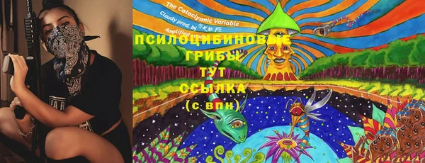 молекула духа Арсеньев