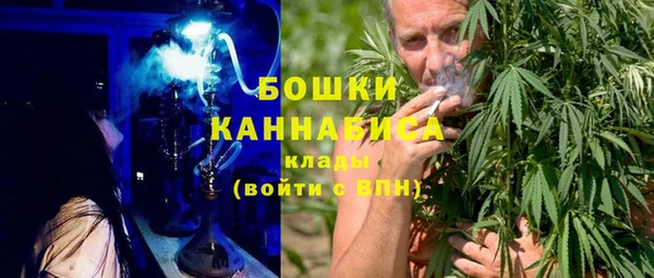 молекула духа Арсеньев