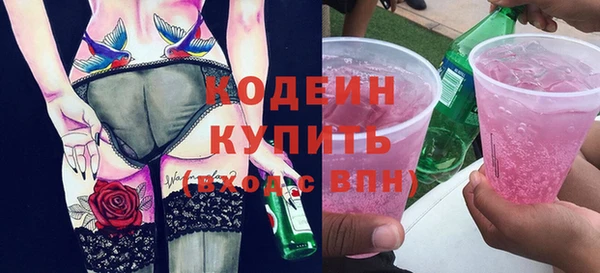 молекула духа Арсеньев