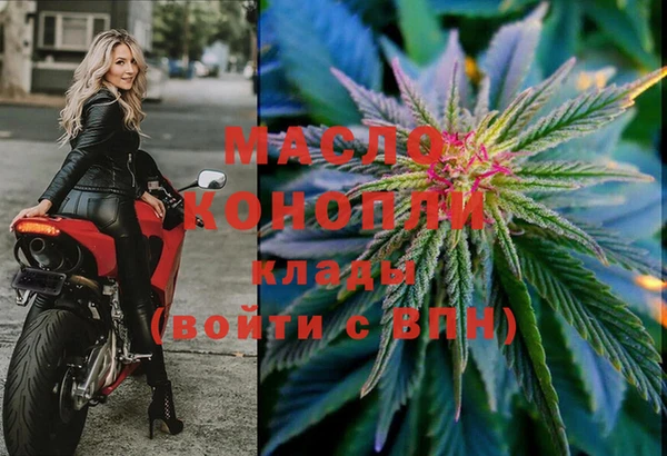 молекула духа Арсеньев