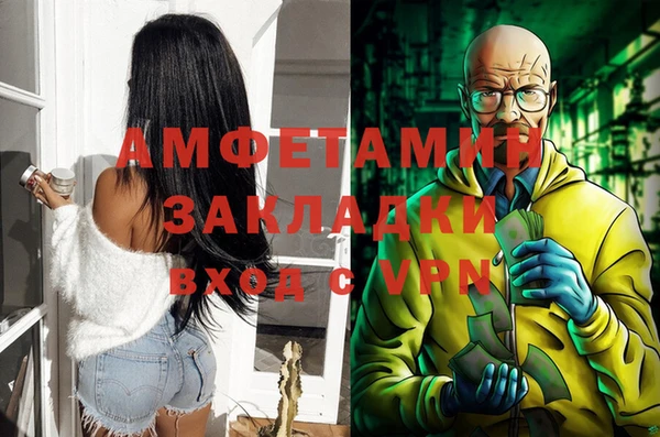 молекула духа Арсеньев