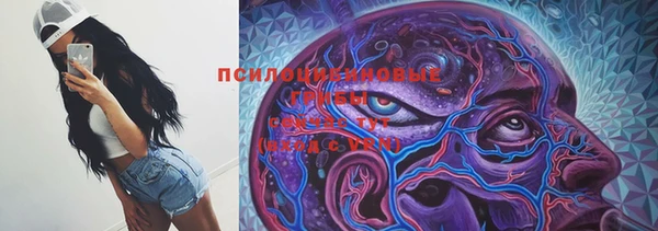 тгк Аркадак