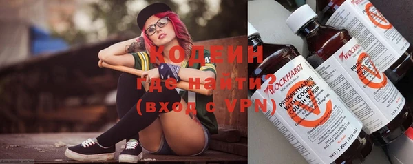 молекула духа Арсеньев