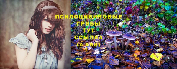 тгк Аркадак