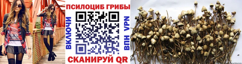 Галлюциногенные грибы ЛСД  MEGA tor  Бирюсинск 